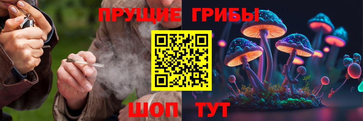 Галлюциногенные грибы Cubensis  Вход с VPN  Каспийск  Псилоцибиновые грибы MAGIC MUSHROOMS 